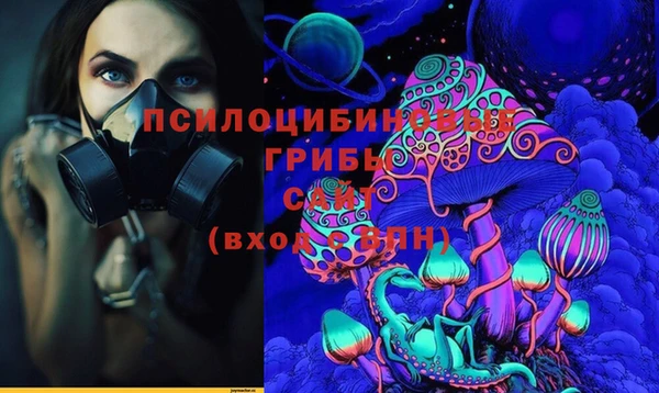 гидра Дмитров
