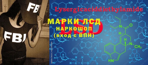 стафф Заводоуковск
