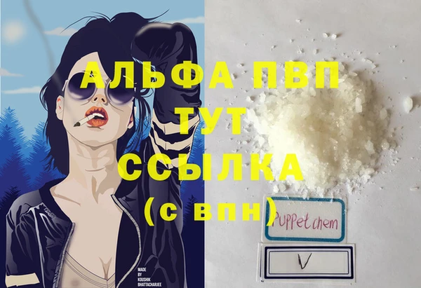 гидра Дмитров