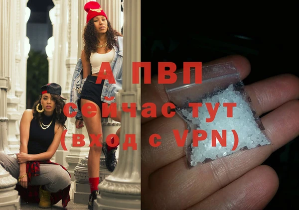 стафф Заводоуковск