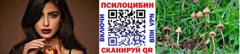 Купить где  Солнечногорск  Галлюциногенные грибы прущие грибы 
